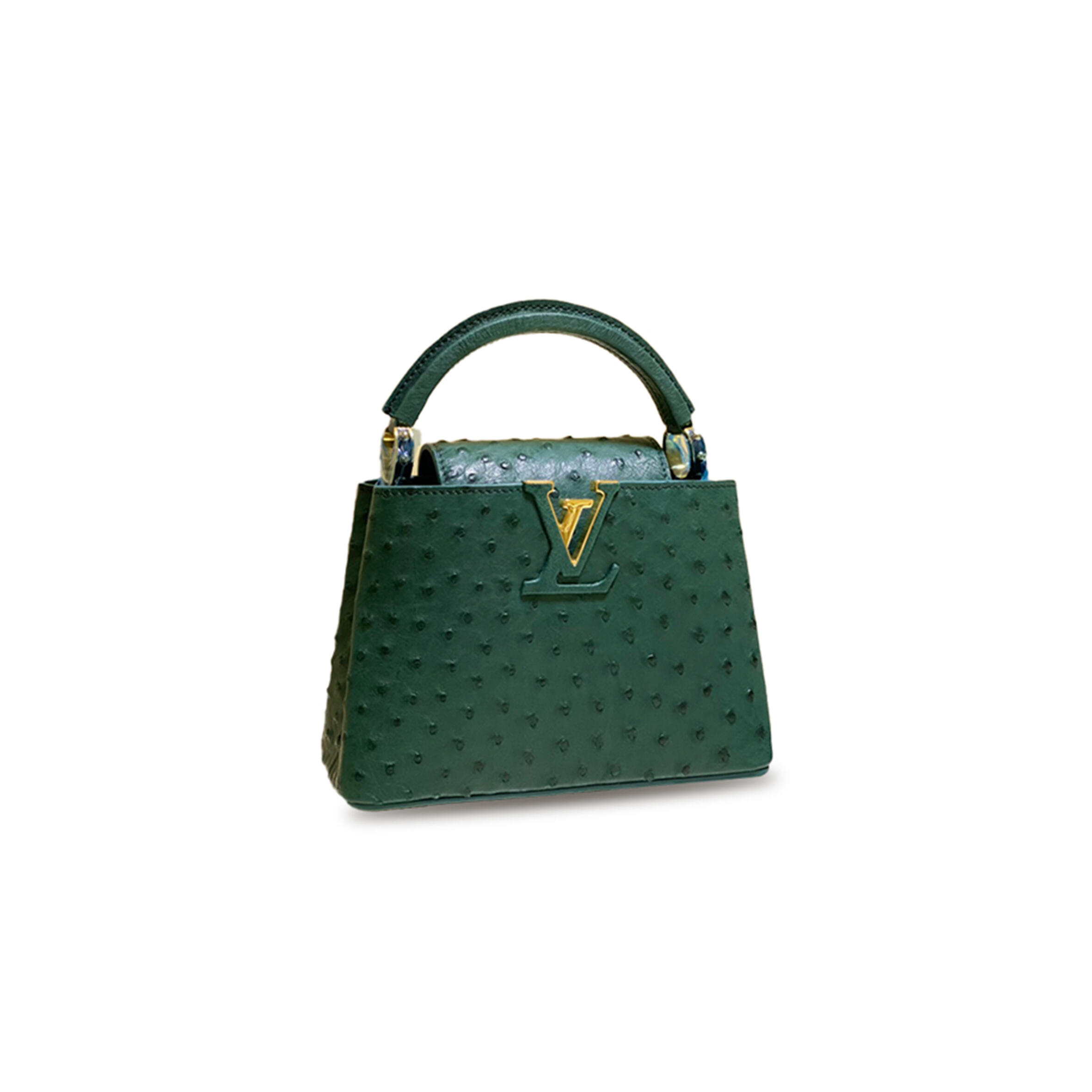 LOUIS VUITTON CAPUCINES MINI M95509 (21*14*8cm)